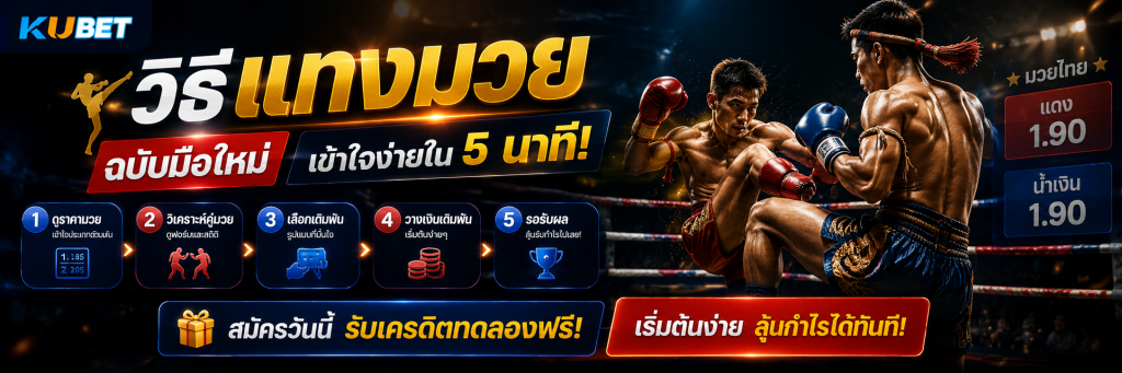 วิธีแทงมวย ฉบับมือใหม่ เข้าใจง่ายใน 5 นาที! สมัครวันนี้รับเครดิตทดลองฟรี